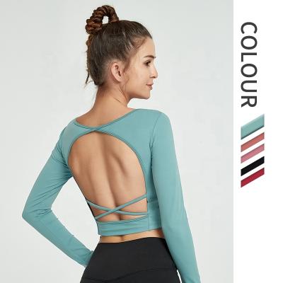 China Breathable Wholesale Yoga Wear Fitness Gym Sportswear Women Long Sleeve Sports Crop Top for sale