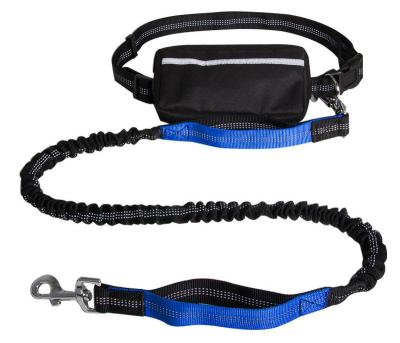 China Viable Wholesale Luxury Manufacturers Forming Swivel Carabiner Nylon Neoprene Double Running Rope Hands Free Dog Leash With Bag for sale