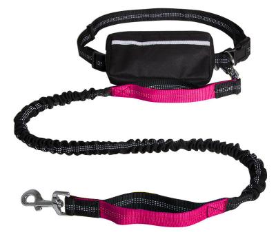 China Nylon Custom Pulsating Logo Padded Marine Rope Slip Modern New Design Viable Long Forming Customizable Hands Free Dog Leash for sale