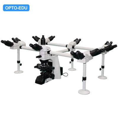 China OPTO-EDU A17.1091 10 People Manual Research Laboratory Multi Viewing Microscope A17.1091-10 for sale