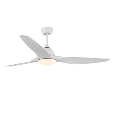 China Modern Simple Luxury Ac/dc Rechargeable Fan With Light White Bottom for sale