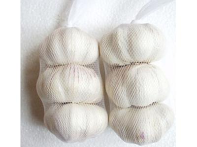 China Garlic mesh bag for sale