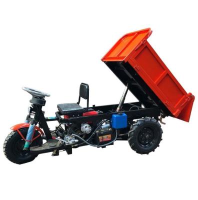 China Factory customized small diesel tricycle Household farm grain tricycles 3 wheel electric tricycles en venta