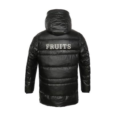 China High Quality Wholesale Custom Cheap Men's Down Jackets Zipper Down Jackets Comic Collar Down Jackets for sale