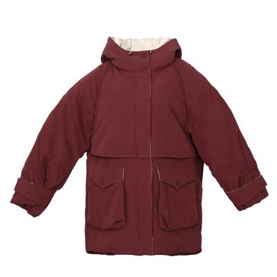 China Hand-feel Cloth Fabric Windproof Loose Casual Winter Brushed Warm Down Jacket With Hood for sale