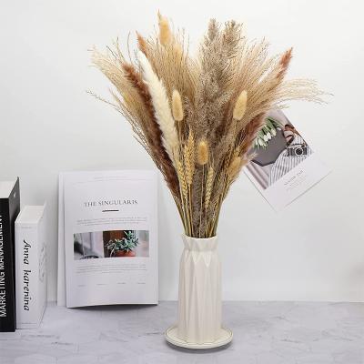 China Home.hotel.lighting Amazon Boho Wedding Decorative White Brown Decor Mixed Small Dried Reed Horsetail Grass Flower Bouquet Pampas Grass for sale