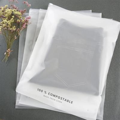 China 2022 MOQ LOW Customized Garment Recyclable Clear Plastic FrostedBag For T-shirt Swimwear Packaging for sale