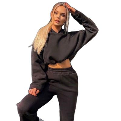 China Solid Color Breathable Soft Casual Two Piece Shorts Hoodie Fashion Women's Top Pants Loose Two Piece Sweatpants And Hoodie Set for sale