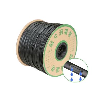 China Agriculture Drip Irrigation Water - Integrated Saving Emitter Drip Irrigation Strip For Onion Seedling Cultivation for sale