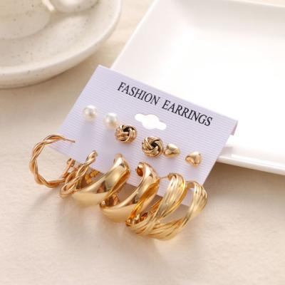 China Trendy Custom Acrylic Leopard Earrings Big Circle Earrings Set Gold Plated Women Jewelry for sale