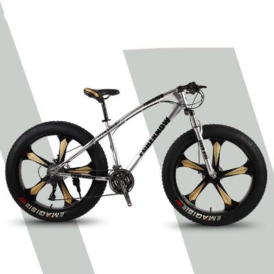 China Sliver Handsome Steel 24 26 Inch Fatbike 21 Speed ​​Snow Mountain Bikes With Python Frame For Sale for sale