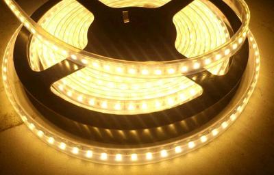 China 24-26LM Bright white CRI 80 led strip light 120leds/m smd led strip 2835 for sale