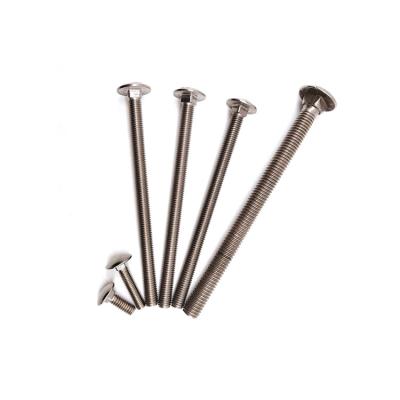 China Professional Stainless Steel Round Head Stainless Steel Manufacturing Square Neck Carriage Bolt for sale