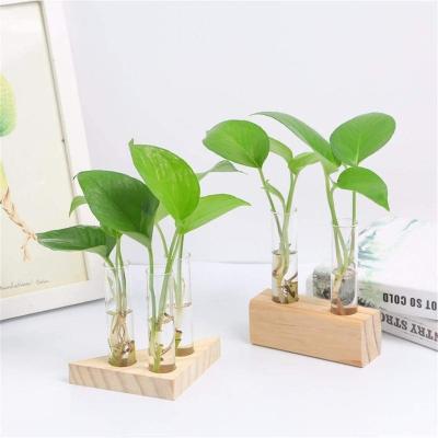 China Wholesale CLASSIC Customized 2021 New Mini Greenhouse Desktop Decoration Test Tube Glass Vase In Stand Wooden Flower Pots for sale