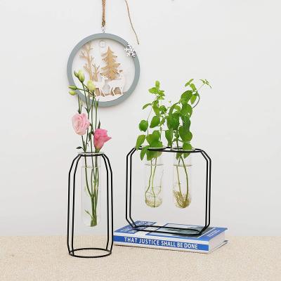 China CLASSIC Hot Selling Mini Planter Greenhouses Metal Stand With 2 Test Tube Perfect For Propagating Hydroponic Plants for sale