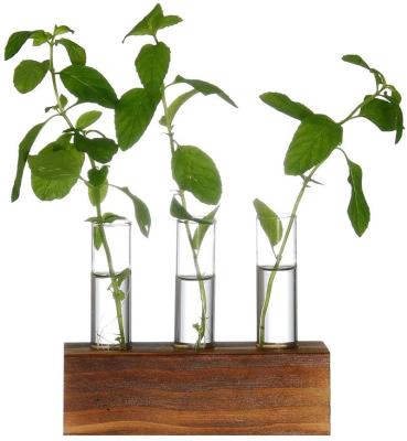 China Amazon CLASSIC Hot Selling Stand Plant Breeding Station Mini Greenhouse Vase Wooden Clear Glass Vase for sale