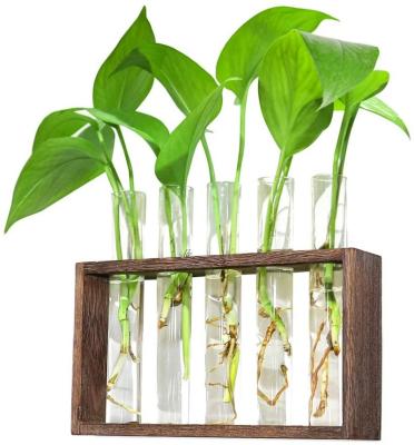 China New Product CLASSIC Ideas Planter Wall Mounted Hanging Vase in Stand Mini Test Tube Greenhouse Wood Desktop Glass Vase for sale