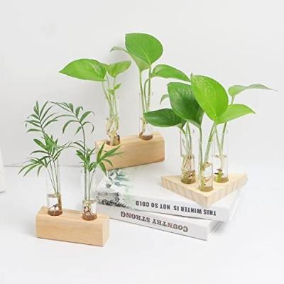 China Wholesale INS CLASSIC Color Striped Living Room Plant Vase Hydroponic Desktop Planter for sale