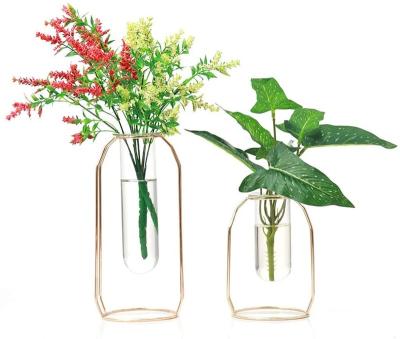 China CLASSIC Home Decor Metal Frame Test Tube Vase Planter Mini Greenhouses Propagation Station Table Desk for sale