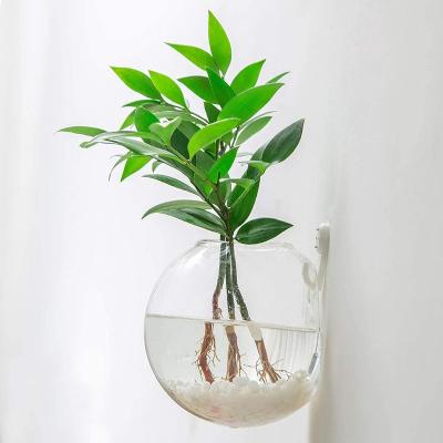 China CLASSIC Gift Decoration Planter Mini Greenhouse Vase Clear Glass Egg Shaped Hydroponics Plants Dried Flower Vase for sale