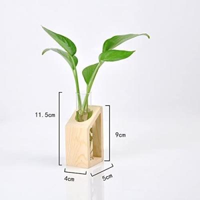 China New Design Glass Propagation Station Test Tube Plant Mini Greenhouse 2PCS Promotional Hydroponic Glass Planters for sale