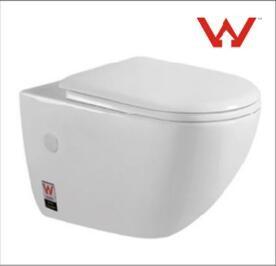 China Luxury Sanitary Ware Ceramic Wall Hanging Toilet With Concealed Cistern for sale