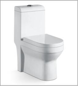 China Washdown Flushing Method Western Ceramic Floor Standing Toilet With Flush Valve for sale