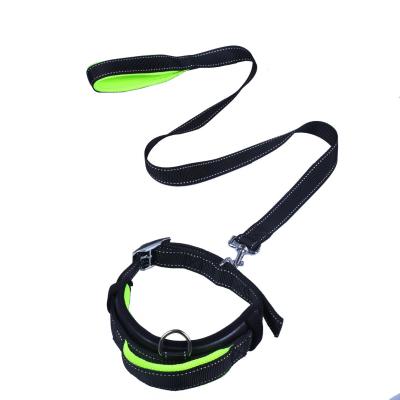 China High Quality Padded Dog Pet Products Dog Leash With Heavy Adjustable Padded Handle Collar for sale