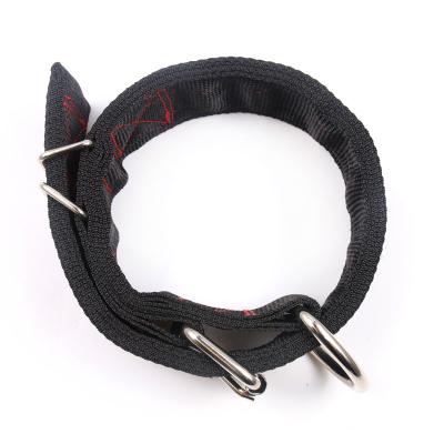 China Sustainable Pet Supplies Strong Dog Collar Adjustable Metal Buckle for sale