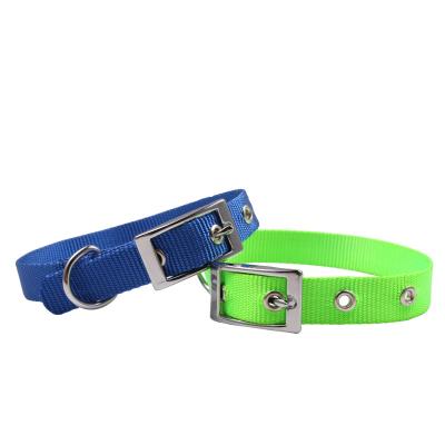 China Sustainable Candy Color Nylon Puppy Collar With Metal Buckle for sale