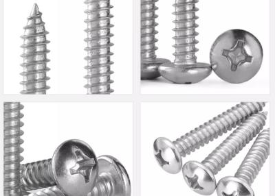 China Top Quality Stainless Steel SS304 SS316 Phillips Pan Head Tapping Screw DIN7981 for sale