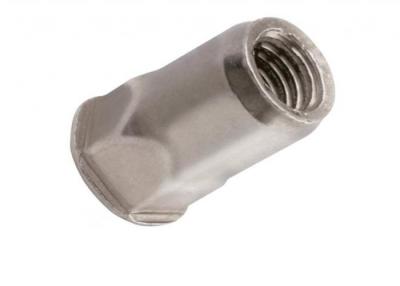 China Grade Class 4.8 8.8 Galvanized SteelSemi Hex Countersunk Round Head Rivet Nuts for sale