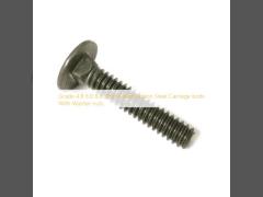 Grade 4.8 6.8 8.8 Zinc Plated Carbon Steel Carriage bolts With Washer nuts