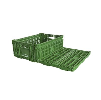 China Collapsible Plastic Mesh Storage Crate Folding Boxes for sale