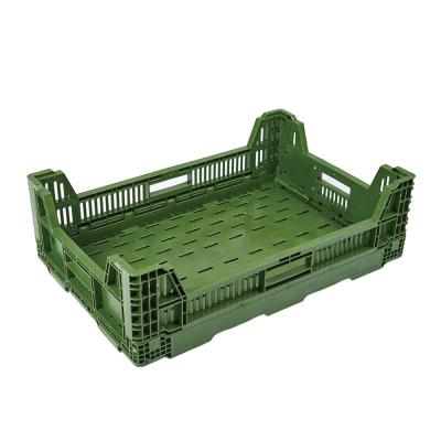 China Plastic Collapsible Collapsible Mesh Collapsible Crate for sale