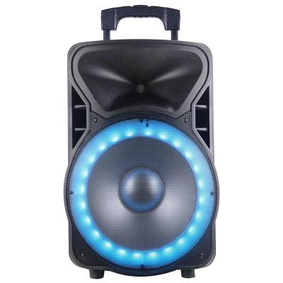 China Wireless Portable 15 Inch BT DJ Box Speaker 200W Speaker 200W Wireless Powered LED-MIC-ECHO Karaoke Sets Karaoke Party - Battery Talking Bocina for sale