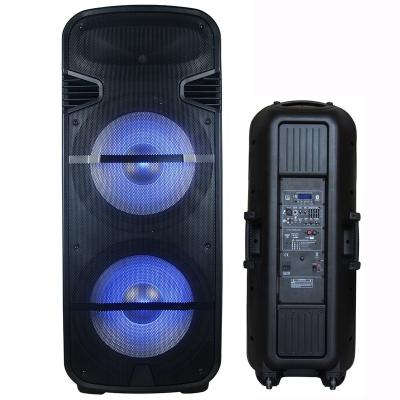 China 300W Wireless Dual 15