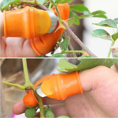 China : Silicone Thumb Knife Farm Fruit Pickle Pickle Picker Tip Iron Nail Picker Vegetable Picker Grape Harvester For Orchard And Garden Vegetable Patch for sale