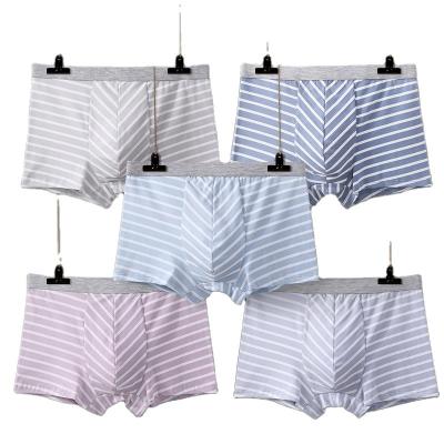 China Antibacterial Men's Panties Mens Boxer Pants Head Cotton Stripe Mid Waist Breathable Type Youth Fat Sports Bottom Boxer Pants for sale