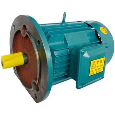 China YE2 0.75kw 380v DC Electric Motor 400W 60mm High Torque High Speed ​​AC 220V Single Phase Three Phase Servo Motor for sale