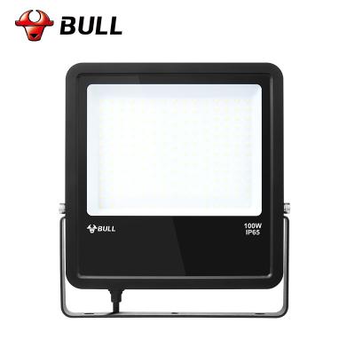 China Outdoor Theme Park BULL 100W 3000k 6500K LED Flood Light Park for sale