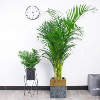 China Large Size Pastoral Modern Concrete Square Cement Cactus Flower Pot Planter For Indoor Decoration for sale