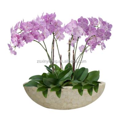 China Bar Western Sea-SHELL Western Simple Creative Handmade Boat Shape Vase Flower Pots Wholesale Orchid Pot for sale