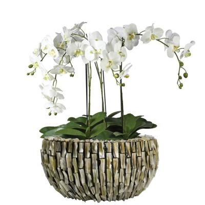 China Pearly Broom Vase Flower Pots Classic High Quality Shell Planters Popular In The Netherlands Orchid Pot for sale