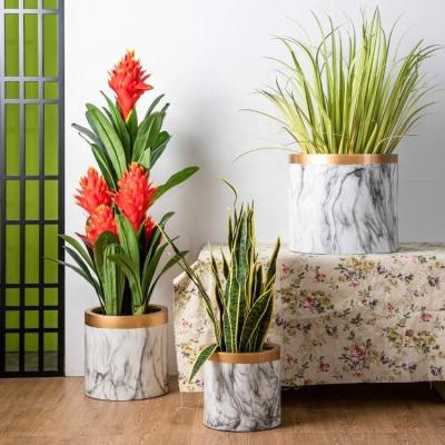 China New Garden Design Marble FRP Flower Planter Pot With Gold Rim For Home Decoration for sale