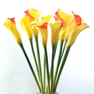 China Wedding/Home High Quality Calla Lilies Long Stem Decoration Decorative Flowers PU For Home Furnishing for sale