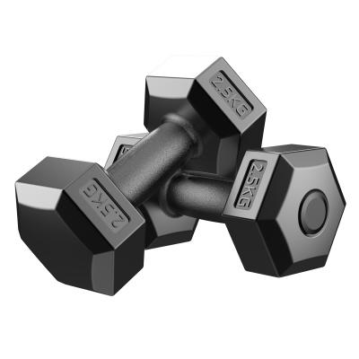 China Universal Stabilizing Hexagon Home Gym Use Dumbell Weighs 10KG Shape Body Workout Dumbells Buy Online for sale