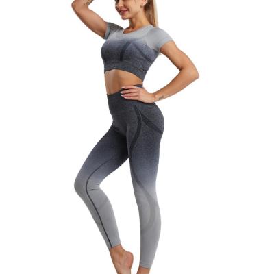 China New QUICK-DRY women short sleeve yoga clothes sets female gym running sports wear slim Quick-drying yoga suit two pieces for sale