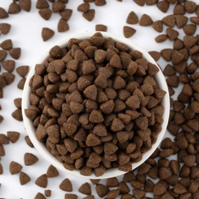 China Skin & Coat Health OEM Grain Free Protein Rich Dry Pet Food for All Age Puppy and Adult Dry Dog Food for sale