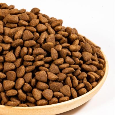 China Skin & Coat Health Original High Nutritional Puppy Large Small Breed Grain Free Dry Dog Food for sale